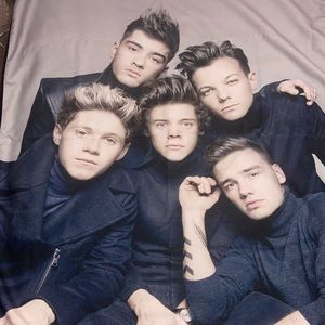 One DirectionBlanket GQ 2013